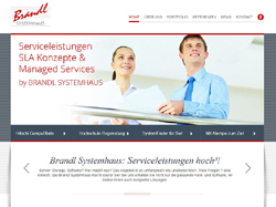 Screenshot Brandl Systemhaus in Straubing